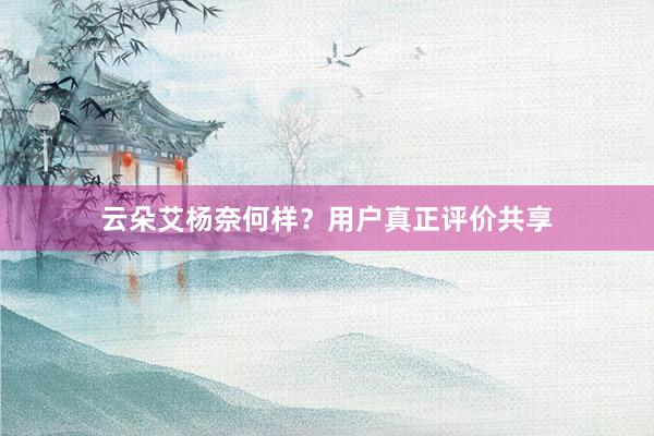 云朵艾杨奈何样？用户真正评价共享